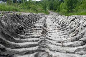 Dried track from a car tread in the forest. Ecological problem of temperature increase and drought. photo