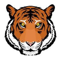 Tiger Face Concepts vector