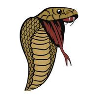 King Cobra Concepts vector