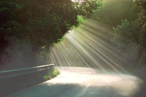 Rays of morning sunlight penetrating the leaves of trees and the mist rising into the air.natural landscape photo