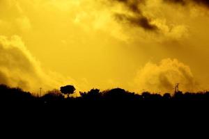 Beautiful golden yellow sunset photo