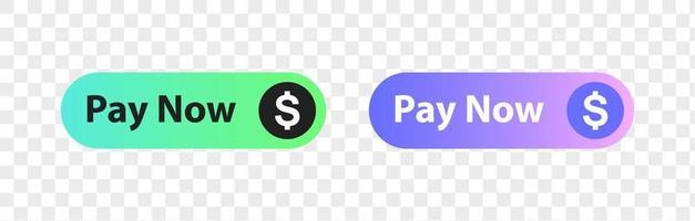 Pay now buttons set. Online payment button system. Ecommerce check out. vector