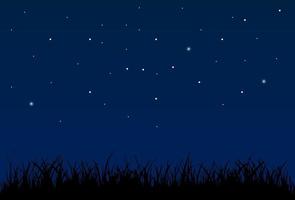 Fondo de cielo nocturno con estrellas y silueta de hierba vector