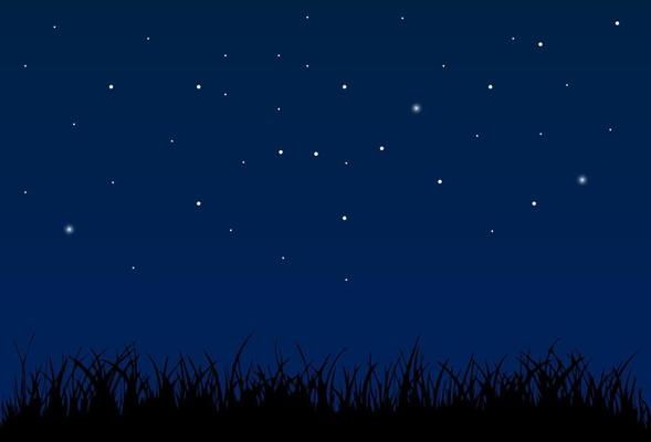 Night Sky Vector Art, Icons, and Graphics for Free Download