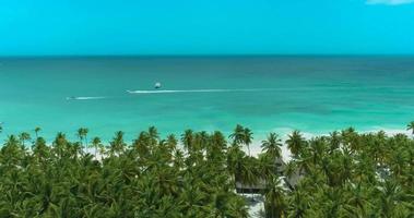 barco por uma vista de drone aéreo em uma ilha tropical video