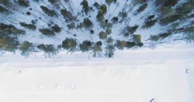 voiture blanche roulant dans la neige dans une vue aérienne de drone forestier video