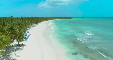 playa de arena blanca en una isla tropical con palmeras video