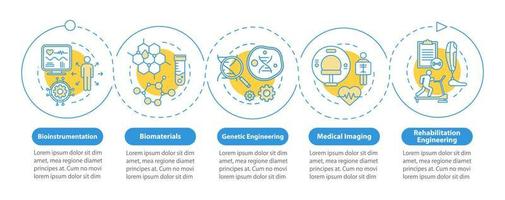 plantilla de infografía de vector de bioingeniería. elementos de diseño de presentación de negocios. bioinstrumentación. visualización de datos, cinco pasos, opciones. gráfico de la línea de tiempo del proceso. diseño de flujo de trabajo, iconos lineales