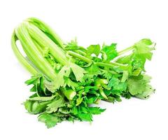 Fresh Juicy Celery on White Background photo