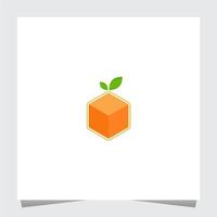 Digital Orange Fruit Logo Inspirations Template vector