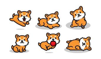 Set of cute corgi dog illustration vector