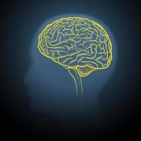 Yellow brain strokes on a dark gray background vector