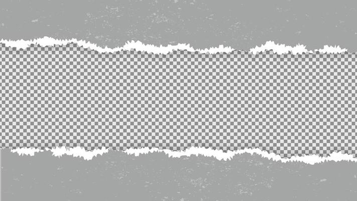 Isolated Gray Torn Paper Template for Banner, Poster, and Flyer. Editable Vector Illustration