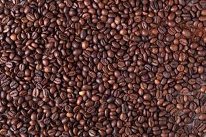 coffee beans background photo