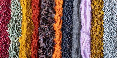especias indias y hierbas de diferentes colores como fondo. condimentos de textura para el encabezado de la página web foto