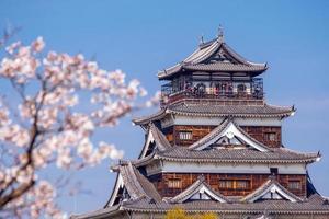 Hiroshima Castle During Cherry Blossom Season photo