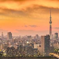 horizonte de la ciudad de tokio al atardecer foto