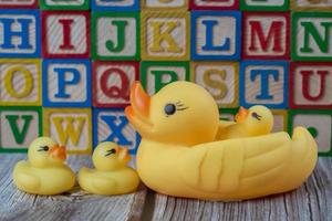 Rubber duck toy in front of letter wood block photo