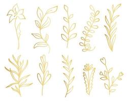 Set of golden branches with leaves and flowers isolated object vector