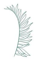 Elongated branch with long leaves isolated vector illustration