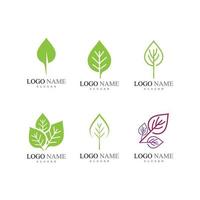 Leaf icon Vector Illustration design Logo template