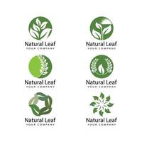 Leaf icon Vector Illustration design Logo template