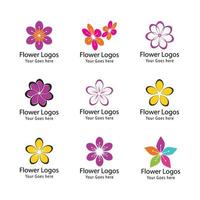 Plantilla de ilustración de diseño de flores de icono de plumeria de belleza