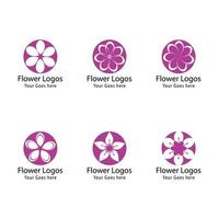 Beauty plumeria icon flowers design illustration Template vector