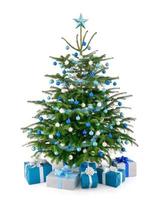 Bright studio shot of blue and silver decorated Christmas tree with gifts on white