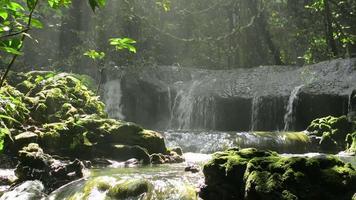 zoet water dat uit de berg stroomt door bemoste rotsen die omgeven zijn door weelderige gebladertevegetatie onder ochtendzonlicht in tropisch bos. video