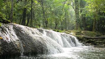 tiro de elevación de agua dulce que fluye sobre la roca al estanque natural entre bosques verdes. video