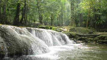 panning shot prachtige scène van kleine waterval in tropisch bos onder ochtendzon. video