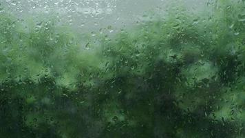 gota de chuva no jardim da sala de estar da janela na estação chuvosa da tarde. video