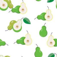 pattern with pears vector