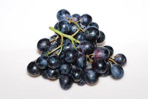 blue grapes from above with white backround photo