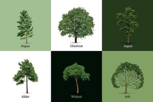 Realistic Trees Design Concept vector