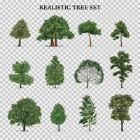 Realistic Trees Transparent Set vector