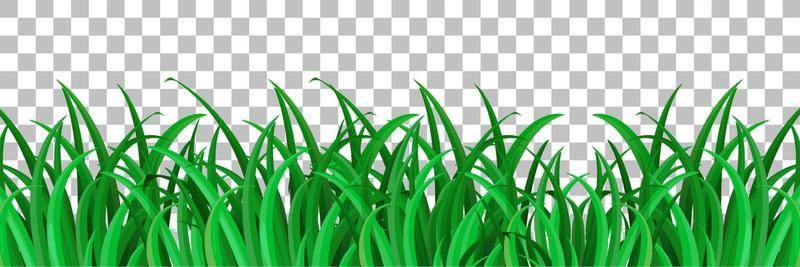 Grass and plants on grid background for decor