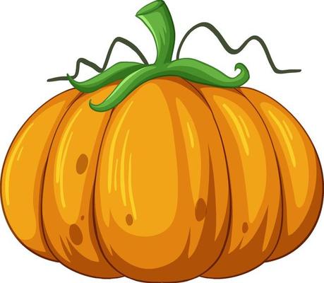 Pumpkin in cartoon style on white background