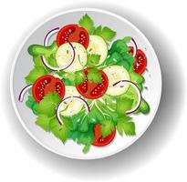 Healthy meal with fresh vegetable salad bowl vector