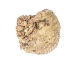 Fresh celery root isolated on white background. photo