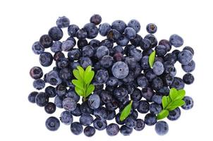Bunch of garden sweet ripe blueberries isolated on white background photo