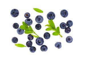 Bunch of garden sweet ripe blueberries isolated on white background photo