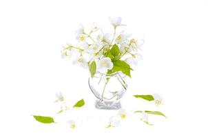 Small glass vase with white flowers. Photo