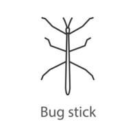 Stick bug linear icon. Ghost insect. Phasmid. Thin line illustration. Contour symbol. Vector isolated outline drawing