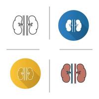 Human kidneys icon. Urinary system. Flat design, linear and color styles. Isolated vector illustrations