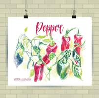 Colorful hand drawn sketch illustration of bell papper on a white background. vector