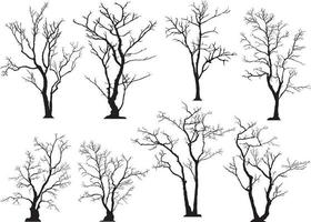 silhouette of tree without leaves vector