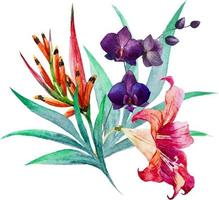 Ilustración de flor de acuarela