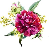 Ilustración de flor de acuarela